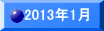 2013�N1��